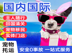 西郊机场空运国际宠物托运 【国